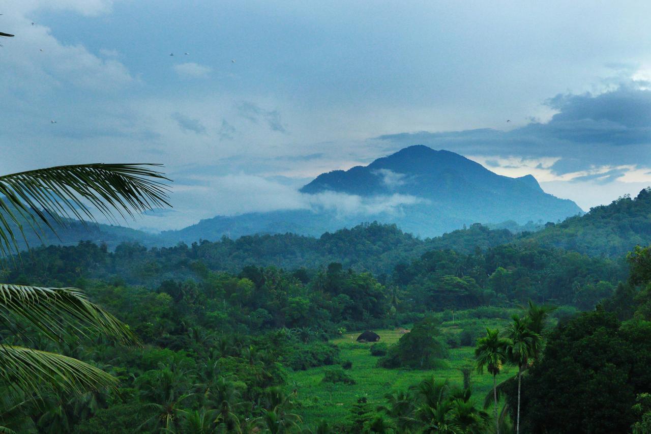 Peak View Holiday Resort Ratnapura Dış mekan fotoğraf